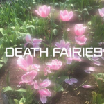 DignityFairy