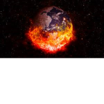 The Real World
