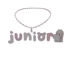 junior 3.0