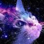 #Team Galaxy Cats