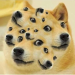 MLG DOGE AND YOUTUBERS TEAM