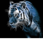 NeonLightStudios