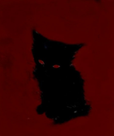 Zoæ