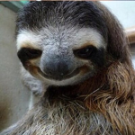 Teh Sloths Squad