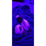 Ferrets Forces