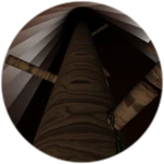 Woodworm