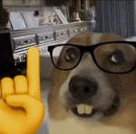 Widzowie Dodga