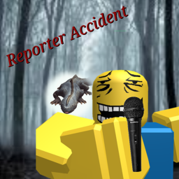 Reporter Accident