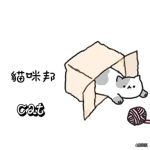 貓咪邦