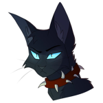 Spots group of Warcraft