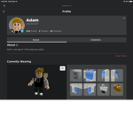 LankyBox fan group off Roblox