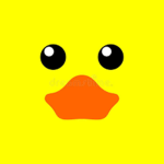 The Rubber Ducky Nation