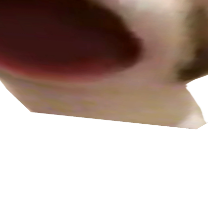 pop cat nextbot