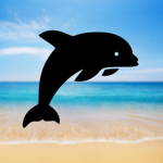 DolphinAir