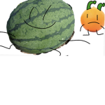 MELONS SH0P!