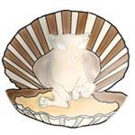 Seashell Bingus