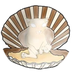 Seashell Bingus