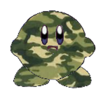Camo Kirby