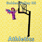 Golden Valley High School | Athletics Group