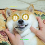 INFINITY DOGES =)
