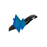 Crystal Eye Patch