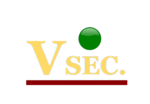 VSEC. International