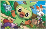 Pokemon beginner fan club