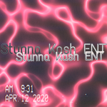 STUNNA KASH ENT$