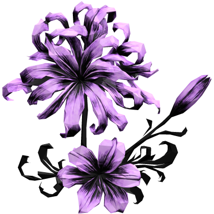ヒガンバナ lavender spider lily hair flower