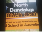 The North Dandy group