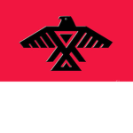 The Northern Inuit Tribe