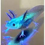 Axolotl Play house
