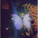 angelikari *:･ﾟღ