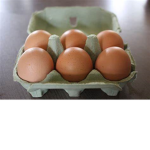 Egggggg Gang