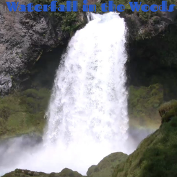 Waterfall in the Woods (SHOWCASE)