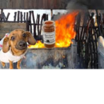 Dumpster Fire Remastered