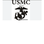 British Mobile task force/SAS Shadow