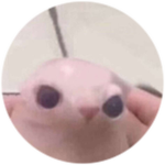 her.