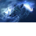 Officialwolfgaming fan group