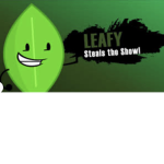 Leafy from b fd I fan group