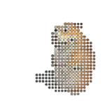 Orbik