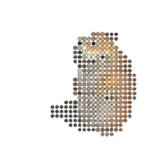 Orbik