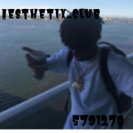 aesthetix_club