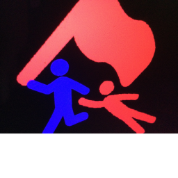 Flag Capture