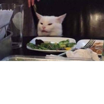 smudge the cat at the table