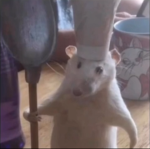 Remy's cousin