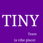 Real TinyTeam