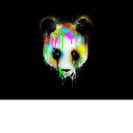 Panda_vibezz