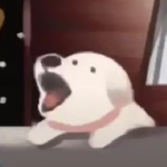 Angled Dog