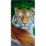 Tiger Fibers